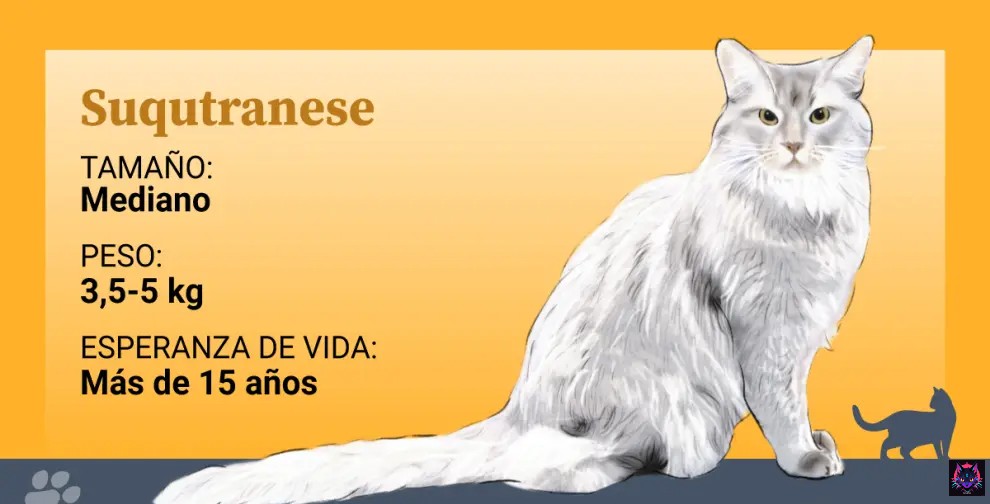 suqutranese